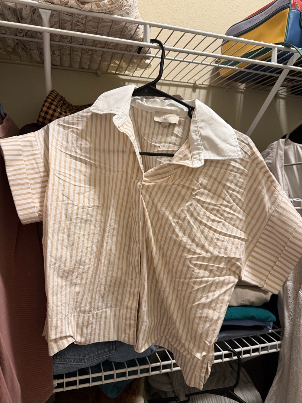 LOFT Beige and White Striped Short-Sleeve Button-Down Shirt